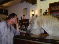 With a friend in a pub, 2005